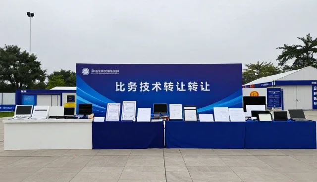 提升团队协作效率的系统维护与使用建议